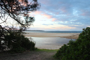 Congo Beach NSW - National Park Camp ground looking North East